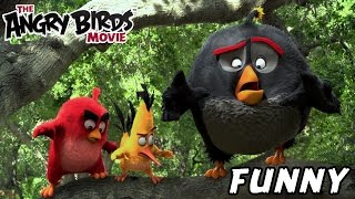 Angry Birds Movie 2016 Commercial [upl. by Ree955]