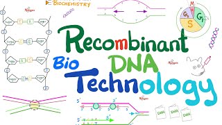 Recombinant DNA technology Biotechnology  Molecular Biology 🧬 amp Biochemistry [upl. by Royal]