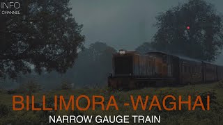 feel monsoon with cinematic view  bilimora waghai narrow gauge train [upl. by Renaxela167]