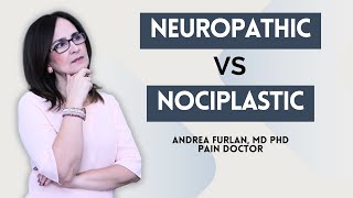 174 Understanding neuropathic vs nociplastic pain mechanisms [upl. by Neros]