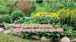 20 gatunków kwiatów które warto mieć w ogrodzie [upl. by Jeannette46]