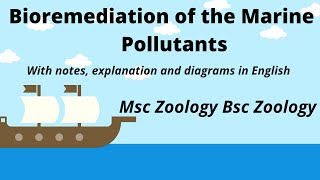 Bioremediation of Marine oil Pollutants with Handwritten notes and Explanation in English [upl. by Eneja]