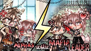 🐺The Alphas softie Mafia Leader🔪GLMM original storylineGacha Life [upl. by Ennahs388]