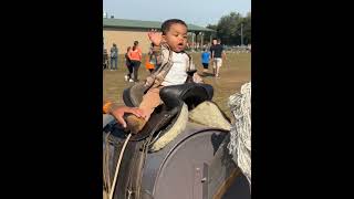 Braylons first pumpkin patch Lol fatherson gamerdad fatherlove daddylife daddylife [upl. by Ybab]