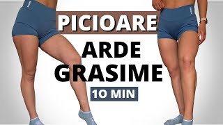 ARDE GRASIME DE PE PICIOARE  10 Minute Antrenament Pentru Picioare Acasa [upl. by Nosinned431]