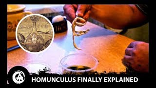 What Even is a Homunculus How to Create a Homunculus Using Alchemy [upl. by Nylzzaj534]