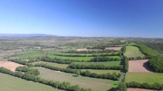 Arbres et paysages du Larzac [upl. by Flight66]