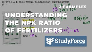 Understanding the NPK Ratio of Fertilizers With Examples [upl. by Anael]