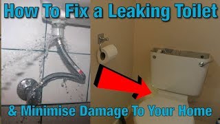 How to fix a leaking toilet  WC repair  My toilet is leaking [upl. by Leiba723]