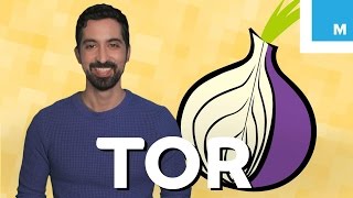 What is Tor and Should You Use It  Mashable Explains [upl. by Akimik343]