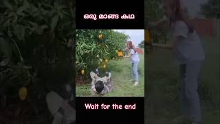 ഒരു മാങ്ങാ കഥ ve world malayalam explantion shorts video motivation malayalam [upl. by Eivets]