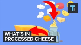 Heres What Velveeta And Kraft Singles Are Actually Made Of [upl. by Dracir]