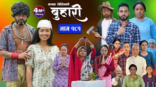 बुहारी भाग  १८१  BUHARI Episode 181  कथा चेलीकाे  Nepali Sentimental Serial  21st June 2024 [upl. by Gnoh]