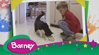 🐱 Barney  Vets Full Episode [upl. by Newcomer128]