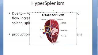 Medicine HyperSplenism Overactive spleen [upl. by Drue]