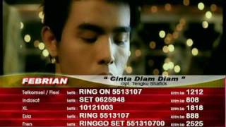 Febrian  Cinta Diam Diam Official Video [upl. by Aseneg]