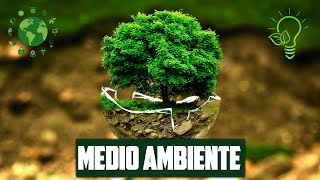 ¿QUÉ ES EL MEDIO AMBIENTE DEFINICIÓN RESUMEN Y CUIDADO [upl. by Alyehs]