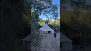 Ein Kinderzimmer mitten im Wald 🌲🏕️ camping zelten outdoor familie inkharmony [upl. by Ellingston]