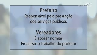 Consultor explica importância das eleições municipais [upl. by Pris]