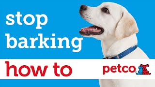 How to Train Your Dog to Stop Barking Petco [upl. by Nodlehs]