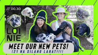 MEET OUR NEW PETS 21 NA BABIES NAMIN  LoiNie TV [upl. by Anires997]