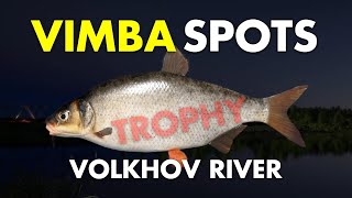 Russian Fishing 4 TROPHY VIMBA SPOT Volkhov River [upl. by Germin951]