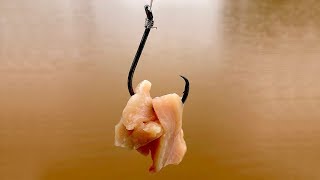 How To Catch HUGE Catfish From The Bank [upl. by Ahsekin]