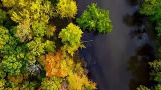 Drones and Fall Colors go Together Camping Riverside in Northern Michigan [upl. by Assetnoc]