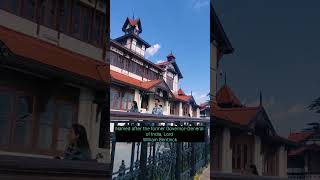 Beautiful Shimla khoobsurat Shimla shortsfoodies shimlabeauty [upl. by Elayne688]