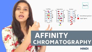 Affinity chromatography  Introduction and Principle in Hindi [upl. by Aryam]