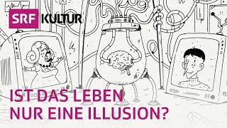 «GEHIRN IM TANK» – das philosophische Gedankenexperiment  filosofix [upl. by Jermayne473]