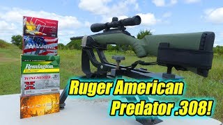 At the Range Ruger American Predator 308 [upl. by Asylem]