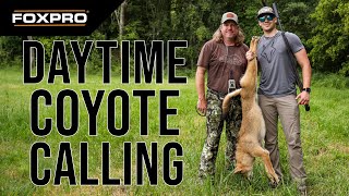 Coyote Hunt Across State Lines Kentucky and Tennessee Action [upl. by Ahsykal]