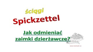 Jak odmieniać zaimki dzierżawcze  Ściąga  Niemiecki dla początkujących [upl. by Htebezile564]