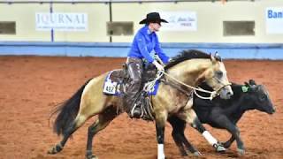 A Judges Perspective 2017 AQHA World Junior Working Cow Horse World Champion [upl. by Dora]