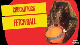 Chuckit Kick Fetch Ball Large [upl. by Mairem277]