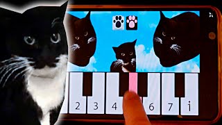 Maxwell The Cat how to play on a Maxwell the Cat piano APP [upl. by Avis]