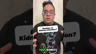 What is the Difference Between and Bladder infection and Kidney infection healthtips wellness [upl. by Nyladnar]