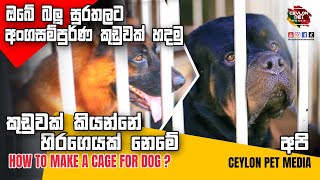 ඔබේ සුරතලාගේ නිවහනත් මේවගේද   How to make a cage for dog   Ceylon Pet Media [upl. by Ecnaralc98]