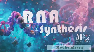 Biochemistry  RNA Synthesis quotTranscriptionquot [upl. by Oberg396]