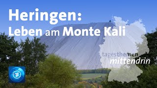 Heringen Leben am Monte Kali  tagesthemen mittendrin [upl. by Aivato]