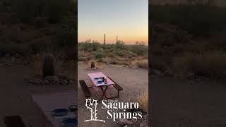 saguaro video [upl. by Yetnom]