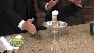 Egg Drop Inertia Challenge  Cool Science Trick [upl. by Adnilg729]