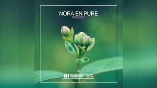 Nora En Pure  Fibonacci [upl. by Areivax]