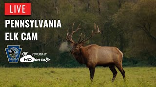 Pennsylvania Elk Cam Live [upl. by Atilemrac208]