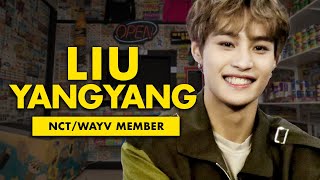 The Untold Truth Of NCT and WayV Member – Liu YangYang [upl. by Sirad500]