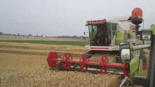 Claas Dominator 108SL HD [upl. by Poliard535]