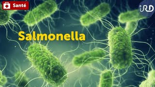 Salmonella [upl. by Osswald]