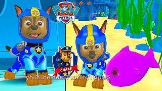 PAW Patrol Air amp Sea Adventures 🐶 Explore and dive into the sea with MARSHALL in Adventure Bay [upl. by Ahsiened]