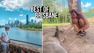 Our First Impressions Of Brisbane  The Best Things To See amp Do In Brisbane [upl. by Nnaasil]